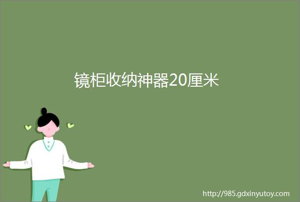 镜柜收纳神器20厘米